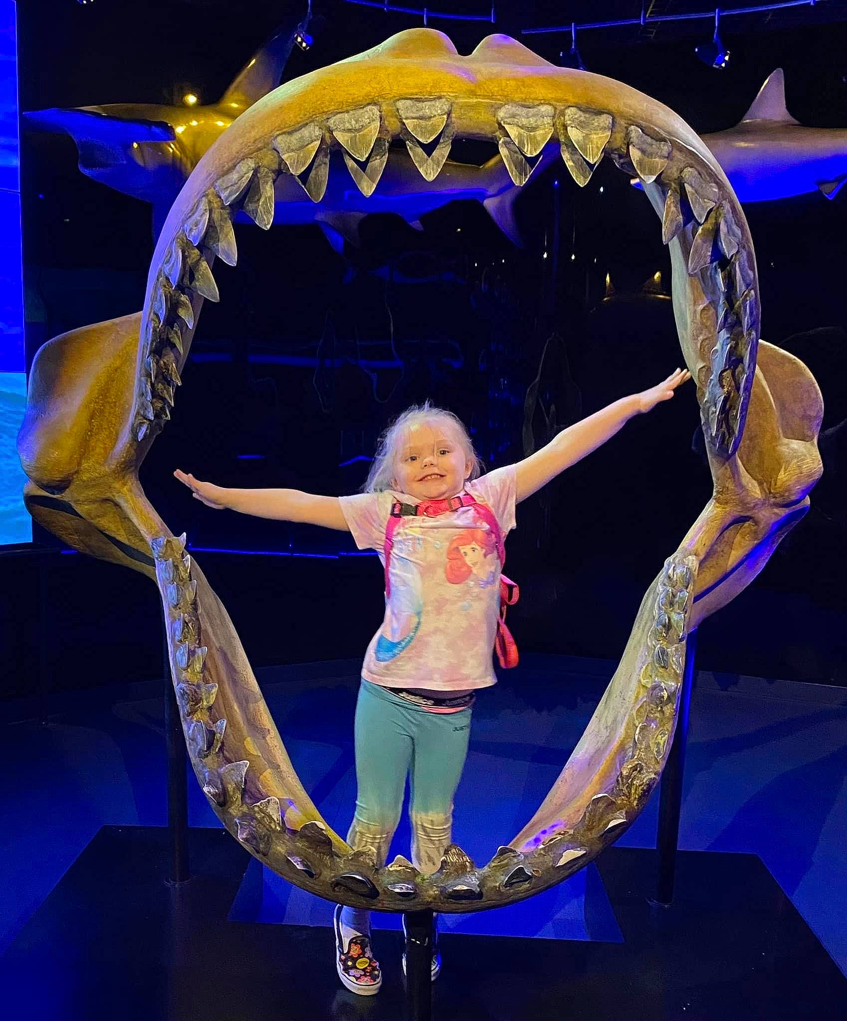 Coraline is registered to the contest to win money with this photo: electric_blue, entertainment, event, flash_photography, fun, heater, joy, leisure, magenta, performance, performance_art, performing_arts, person, purple, space, stage, symmetry, theatre, toddler, tourist_attraction