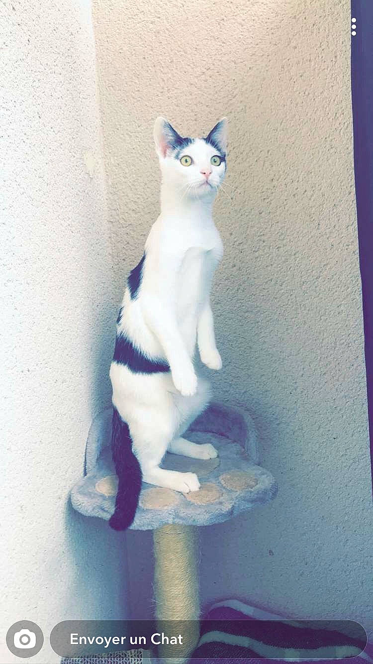Rio