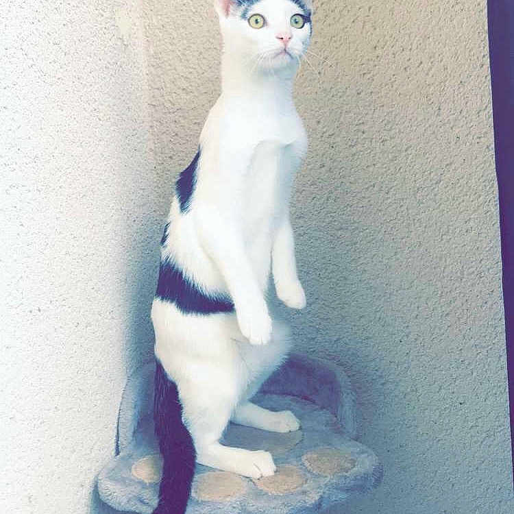 Rio