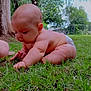 Irismae is registered to the contest to win money with this photo: baby, diaper, grass, outdoor, tree, nature, child, cute, exploration, green, skin, infant, toddler, summer, sunlight, ground, hands, face, crawling, curious