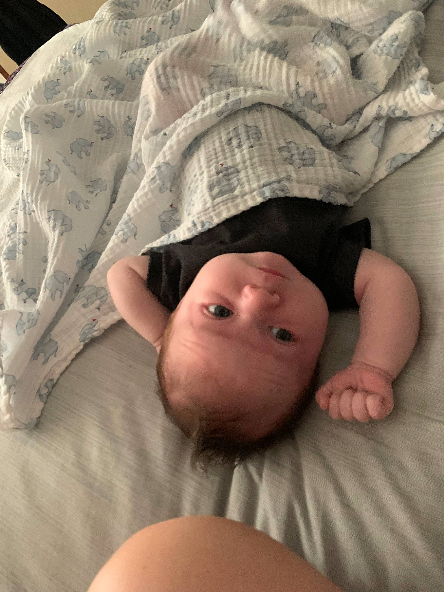 Bodhi joined the competition — help win amazing prizes! baby, baby_toddler_clothing, cheek, child, chin, comfort, eye, face, finger, hand, head, human_body, linens, lip, mammal, mouth, person, skin, textile, toddler