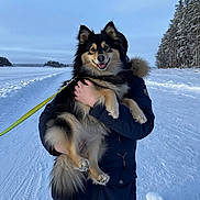 Will is registered to the contest to win money with this photo: dog, person, snow, winter, forest, outdoor, cold, blue_sky, leash, coat, smiling_dog, holding, fur, nature, walking_path, trees, daylight, canine, pet, happy