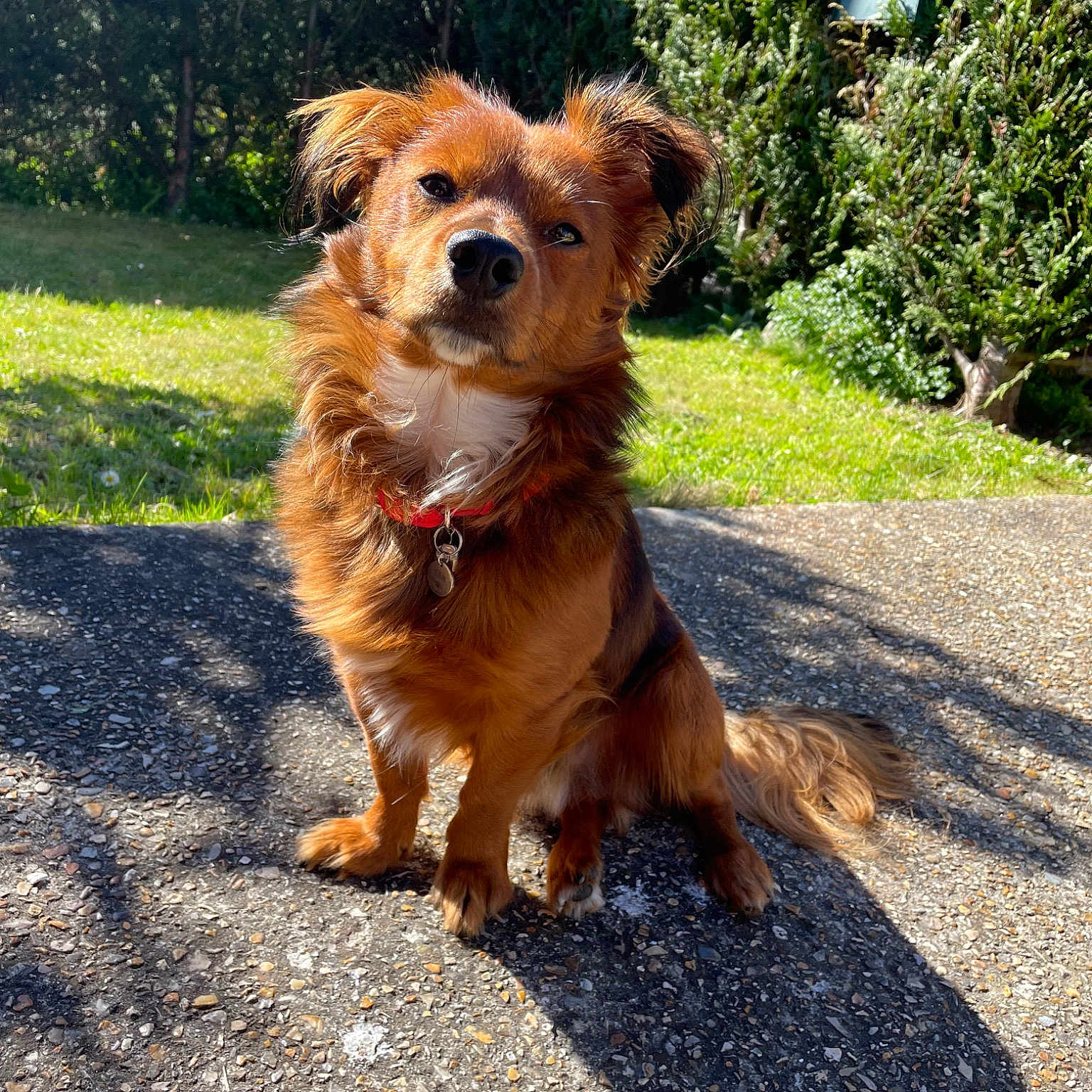 Sam
