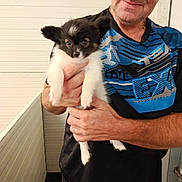 Louasse Baya participe au concours pour gagner de l'argent avec cette photo : adult, animal, black_and_white, casual_clothing, cute, dog, ears, face, hand, holding, indoor, man, paneling, person, pet, portrait, puppy, short_hair, smile, wall