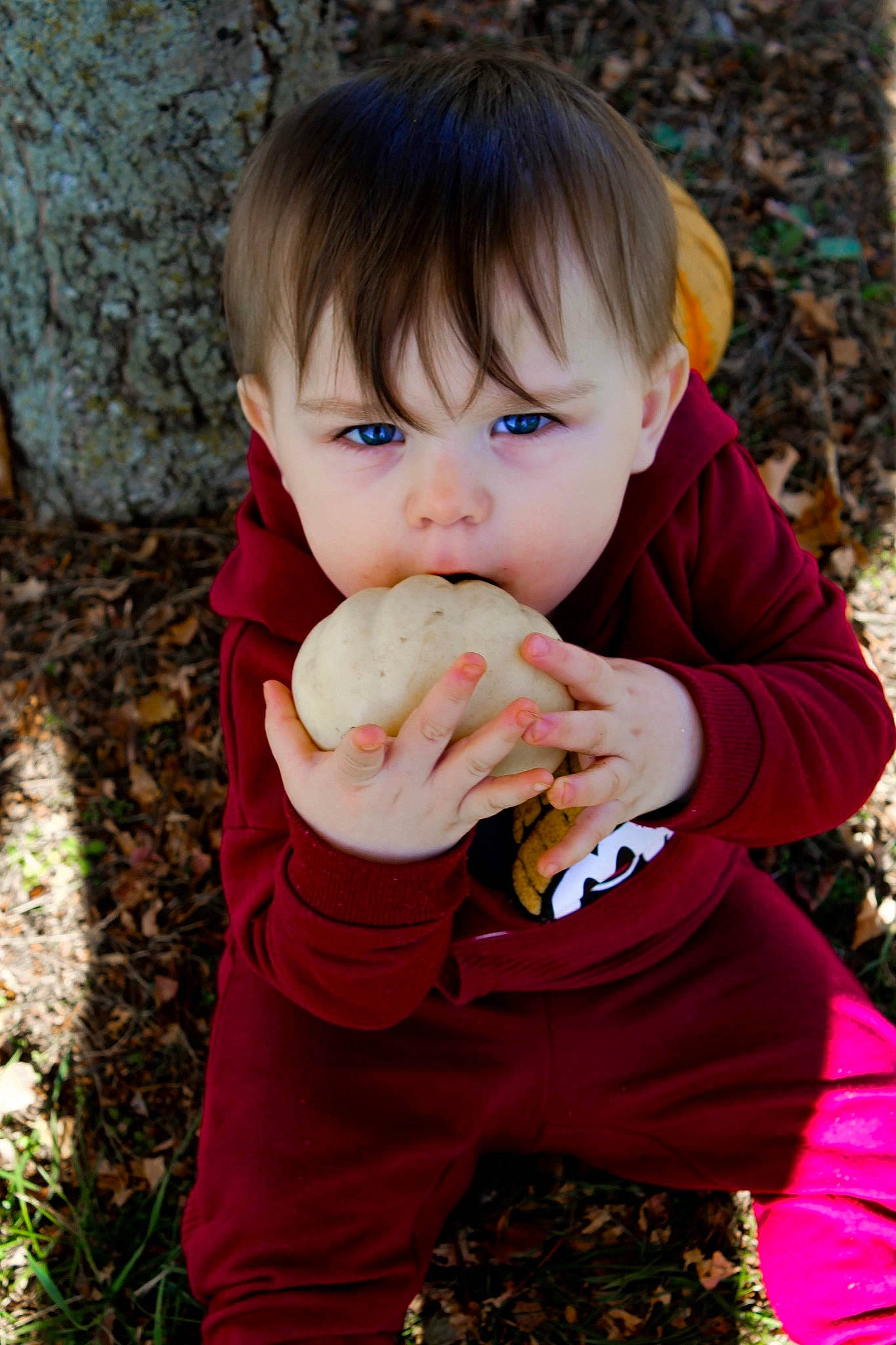 Jeromy is registered to the contest to win money with this photo: baby_toddler_clothing, cheek, child, finger, food_craving, gesture, grass, hand, happy, nail, nose, people_in_nature, person, plant, play, skin, sleeve, t_shirt, thumb, toddler