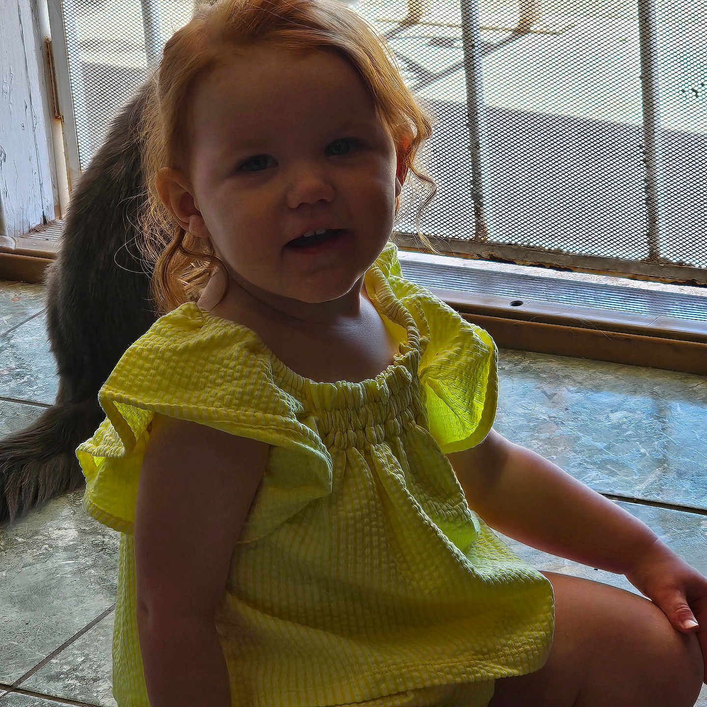 Cirilla is registered to the contest to win money with this photo: casual, cat, child, curly_hair, cute, daylight, domestic, home, indoor, mesh_door, pet, playful, portrait, relaxed, sitting, smiling, tile_floor, toddler, yellow_dress, young_child