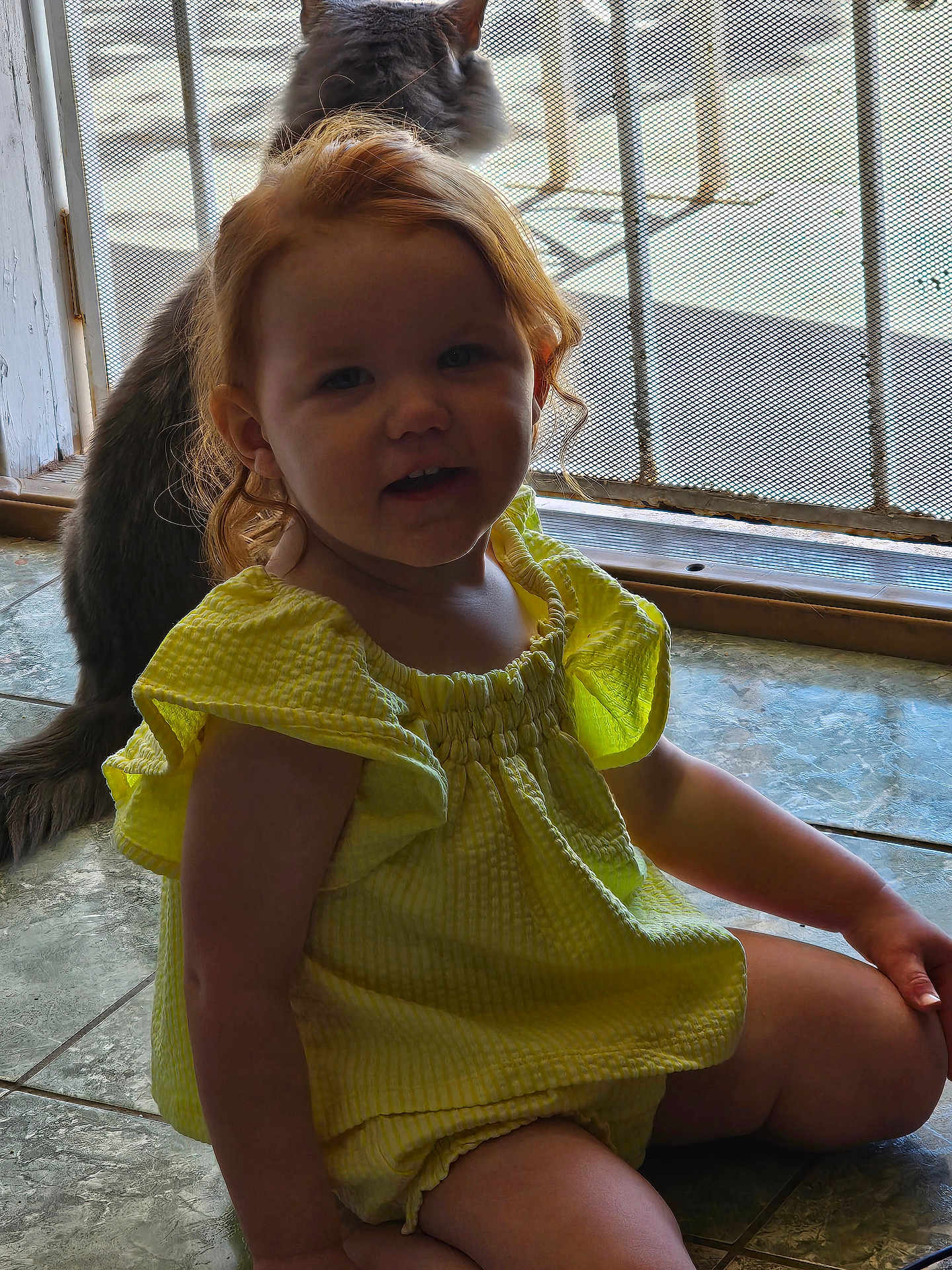 Cirilla is registered to the contest to win money with this photo: toddler, child, yellow_dress, cat, indoor, sitting, tile_floor, mesh_door, pet, curly_hair, smiling, young_child, casual, daylight, cute, domestic, home, portrait, playful, relaxed