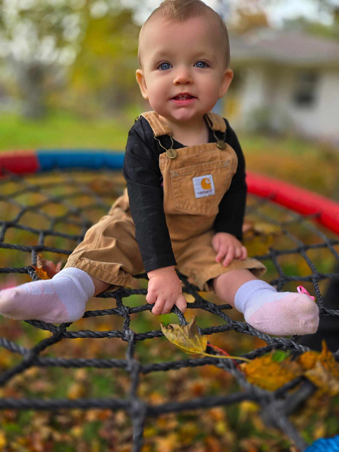 Riley joined the competition — help win amazing prizes! toddler, child, outdoor, swing, rope_net, autumn, leaves, overalls, pink_socks, smiling, blue_eyes, baby, playground, fall, nature, cute, portrait, seasonal, young_child, happy
