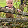 toddler, child, outdoor, fence, wood, nature, grass, autumn, leaves, hands, face, curious, exploring, baby, person, young_child, greenery, plants, wooden_fence, daylight