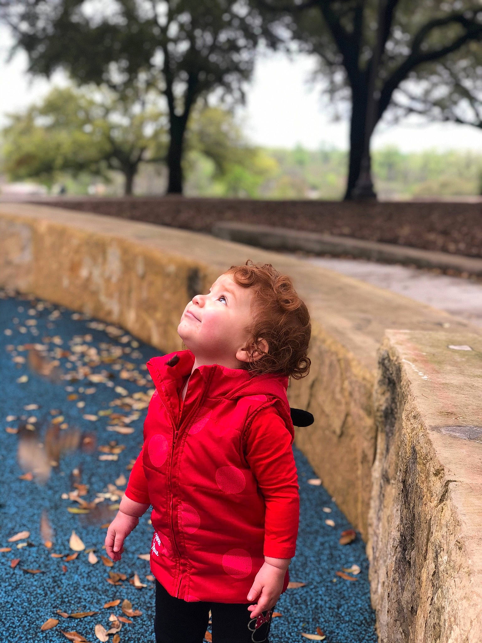Lexie joined the competition — help win amazing prizes! autumn, child, design, eye, grass, leaf, leisure, pattern, people, person, photograph, photography, plant, play, recreation, red, toddler, tree, vacation, walking