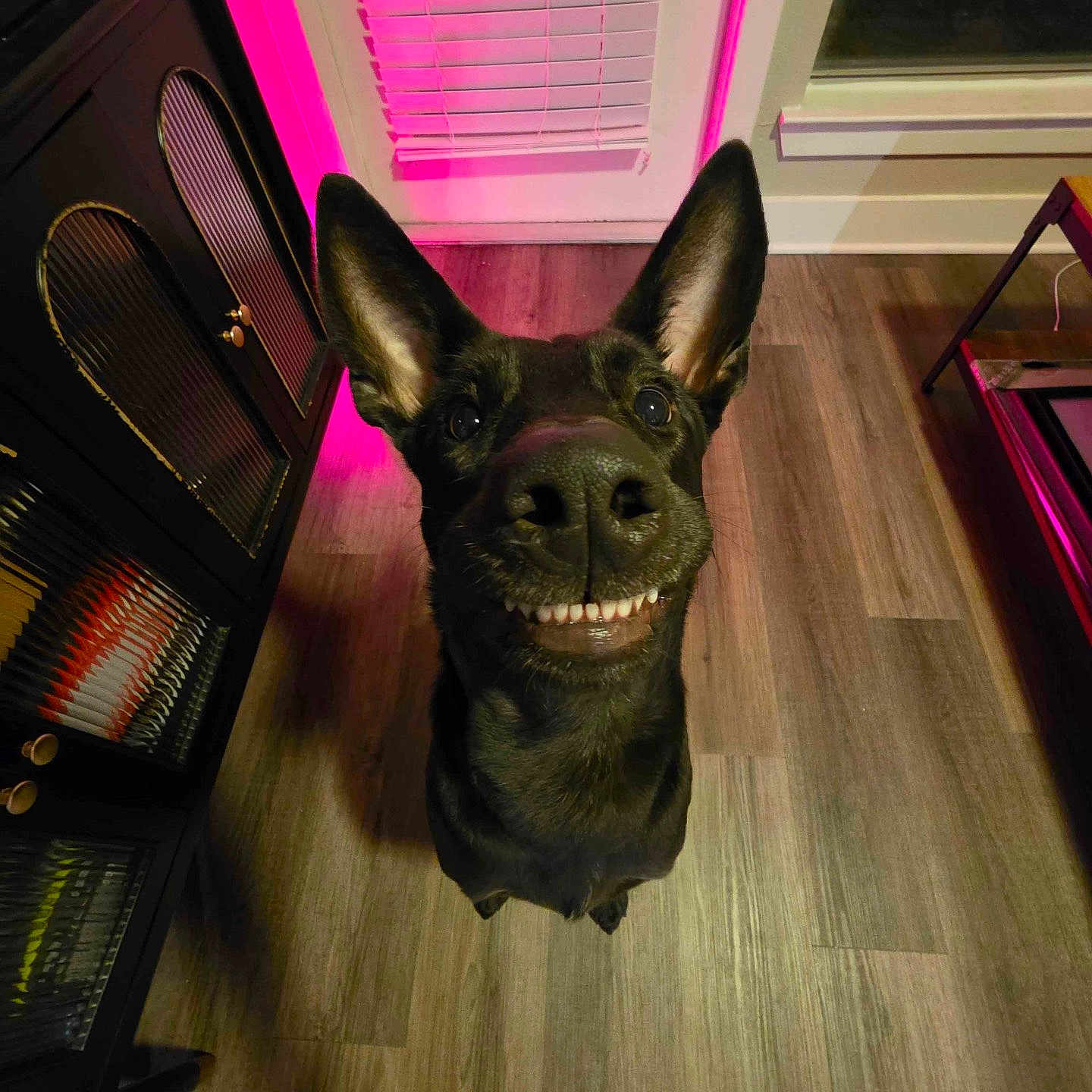 Jasper