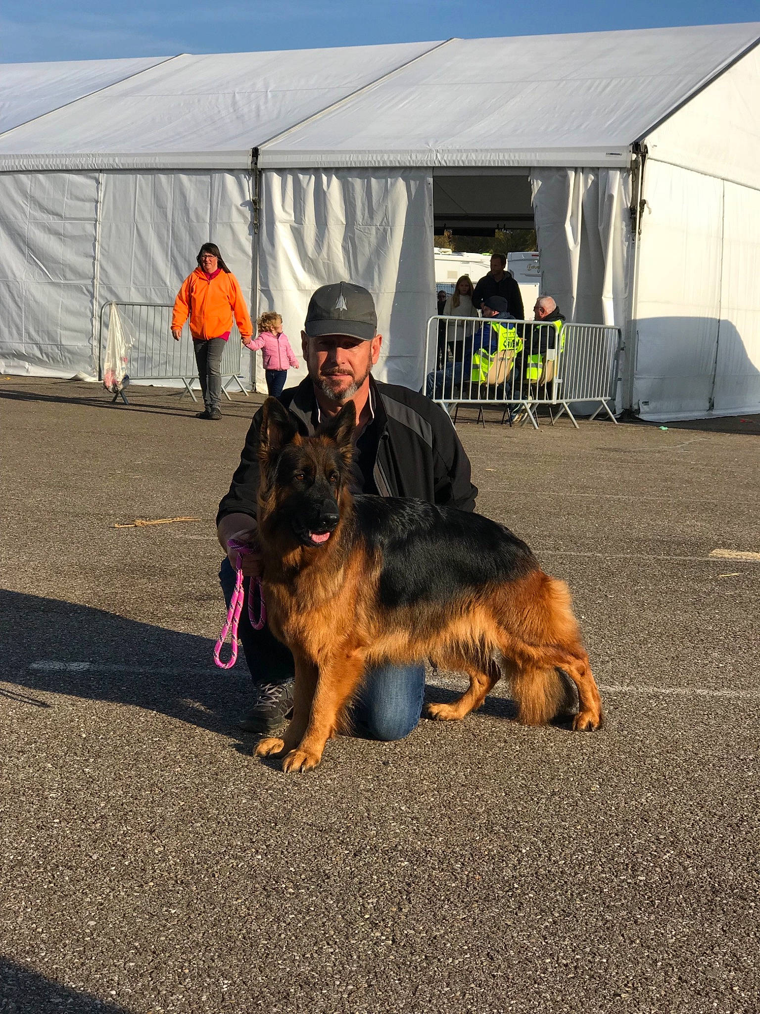 Mayka a rejoint le concours — aidez-le/la à gagner de superbes lots ! dog, dog_breed, dog_breed_group, dog_like_mammal, fun, german_shepherd_dog, obedience_training, old_german_shepherd_dog, person, police_dog, snout
