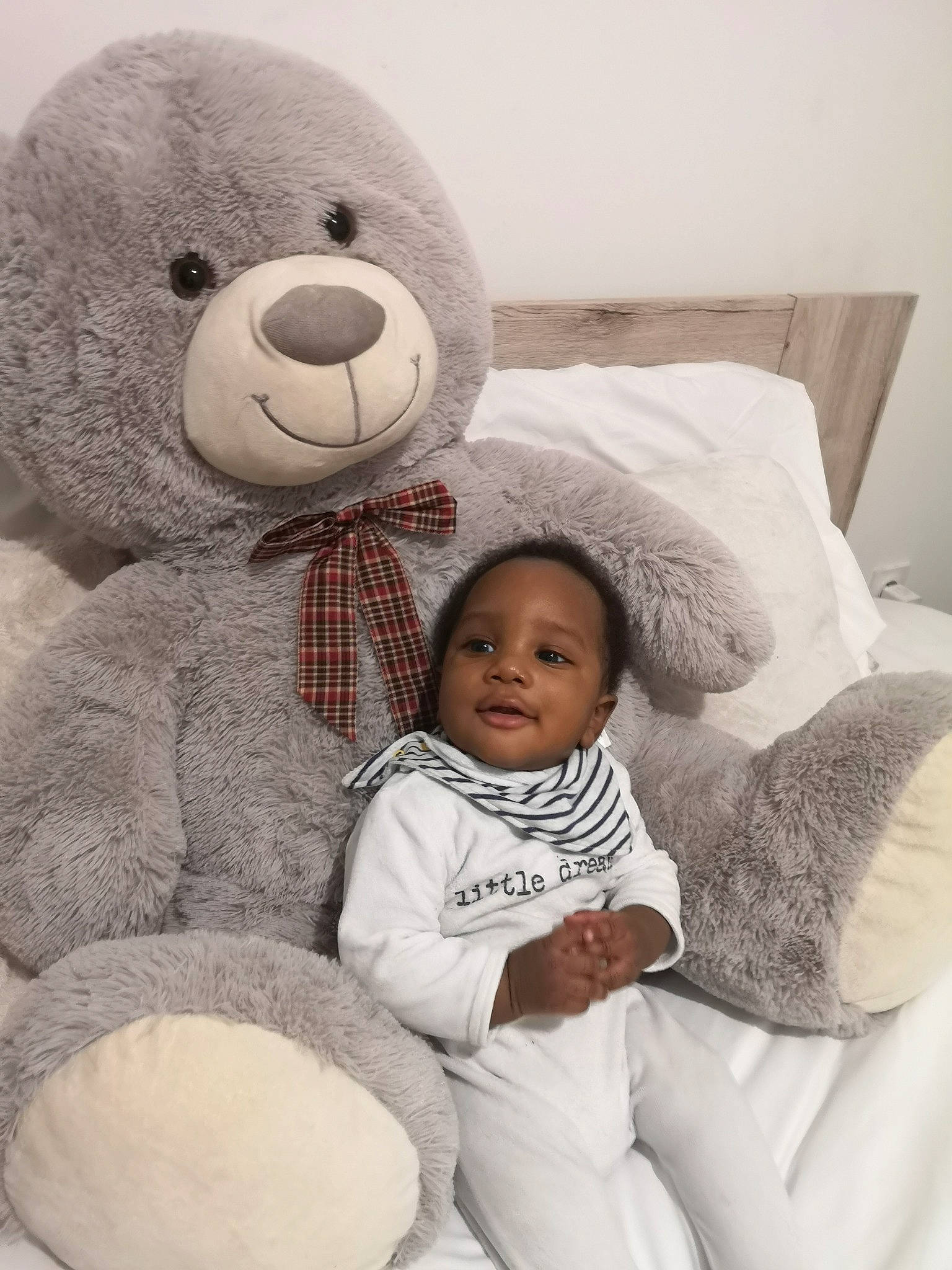 Wilane a rejoint le concours — aidez-le/la à gagner de superbes lots ! comfort, couch, eye, face, facial_expression, gesture, grey, happy, head, human_body, mammal, membranophone, nose, organ, person, photograph, skin, smile, textile, toy