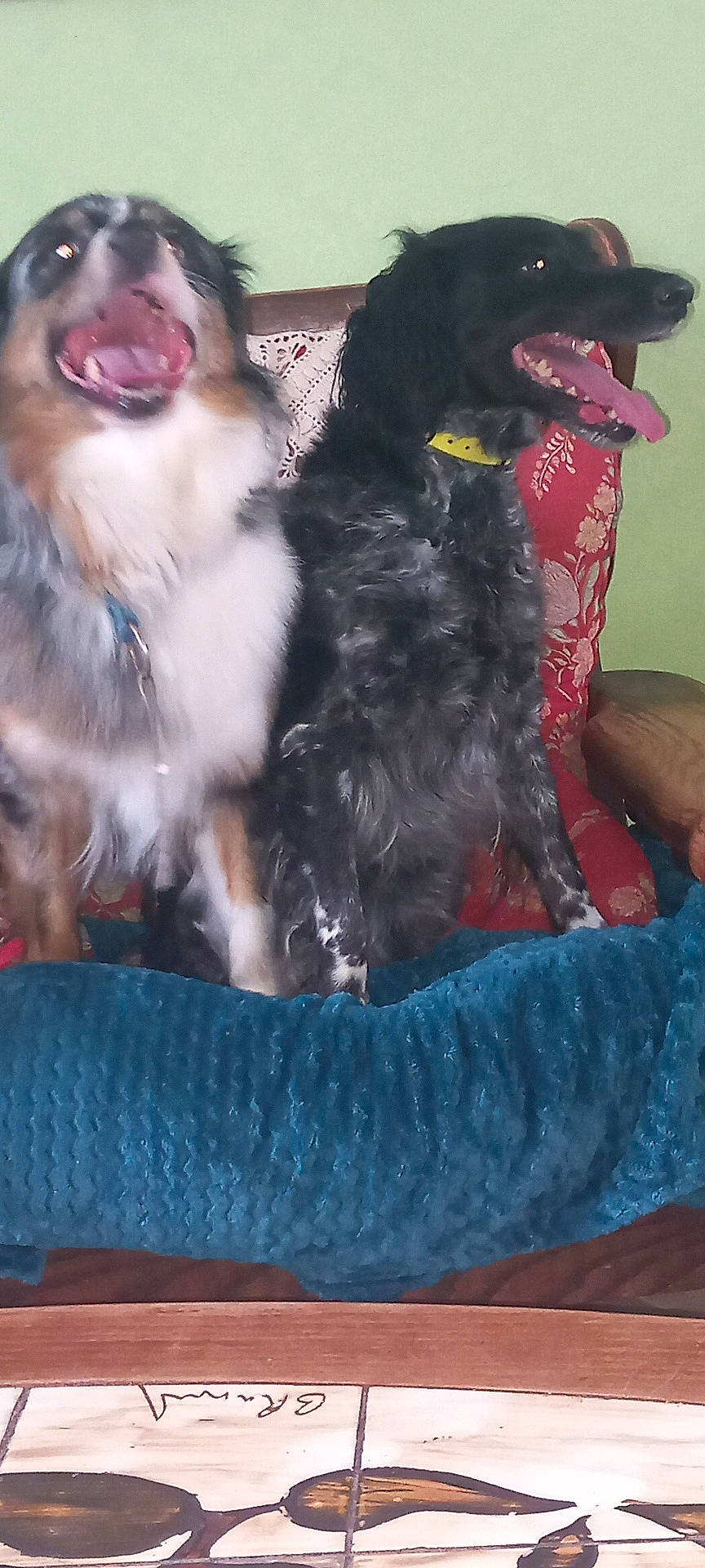 Naya Et Mya