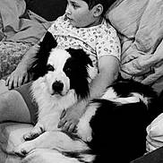 Rocket a rejoint le concours — aidez-le/la à gagner de superbes lots ! black_and_white, blanket, border_collie, boy, child, comfort, couch, cuddling, dog, eyes, fur, gaze, hand, indoor, living_room, pet, pillow, portrait, relaxed, sitting