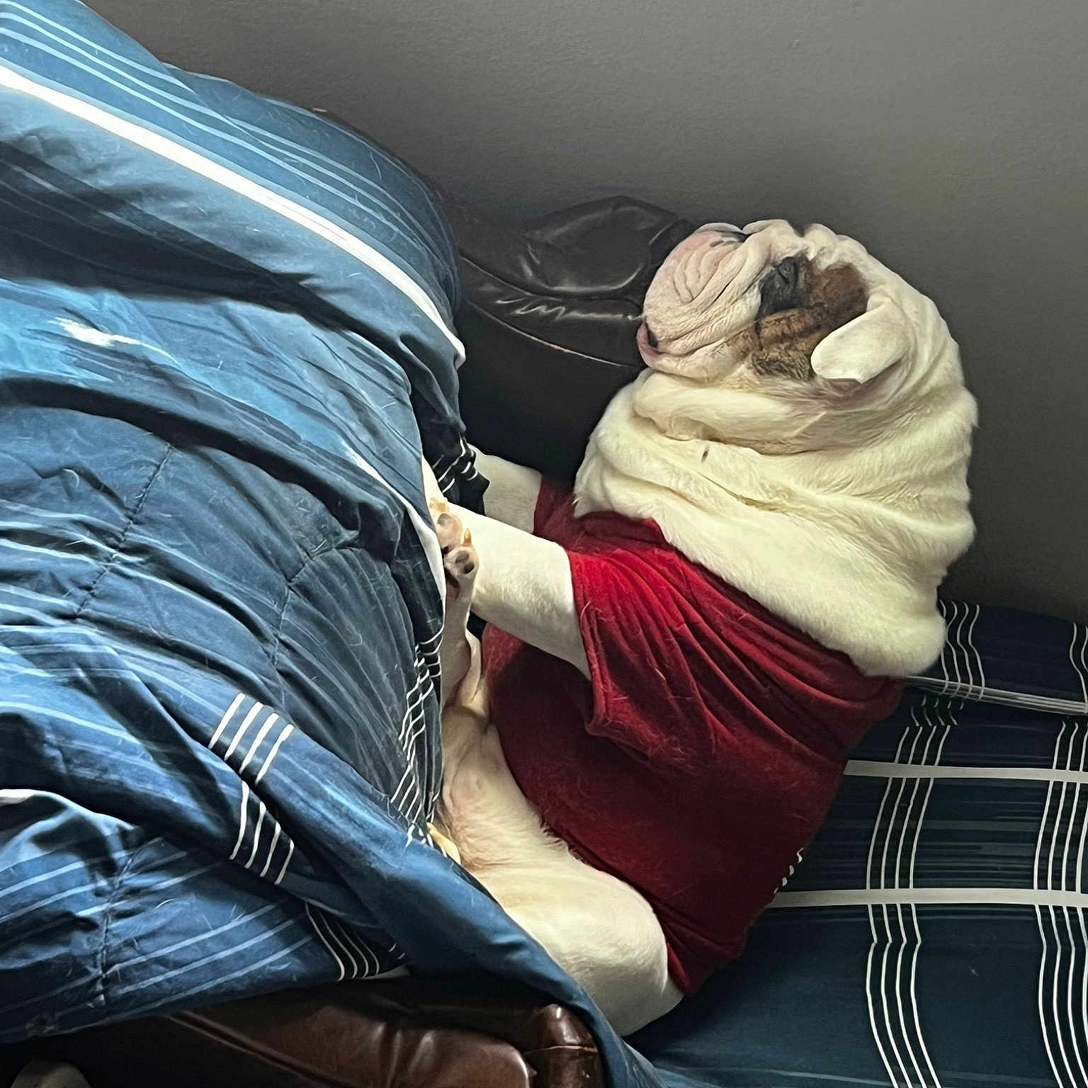 Bubba B is registered to the contest to win money with this photo: abdomen, bed_sheet, bedding, comfort, darkness, elbow, hat, human_leg, knee, linens, nap, pattern, plaid, room, service, sitting, sleep, t_shirt, tartan, tints_and_shades