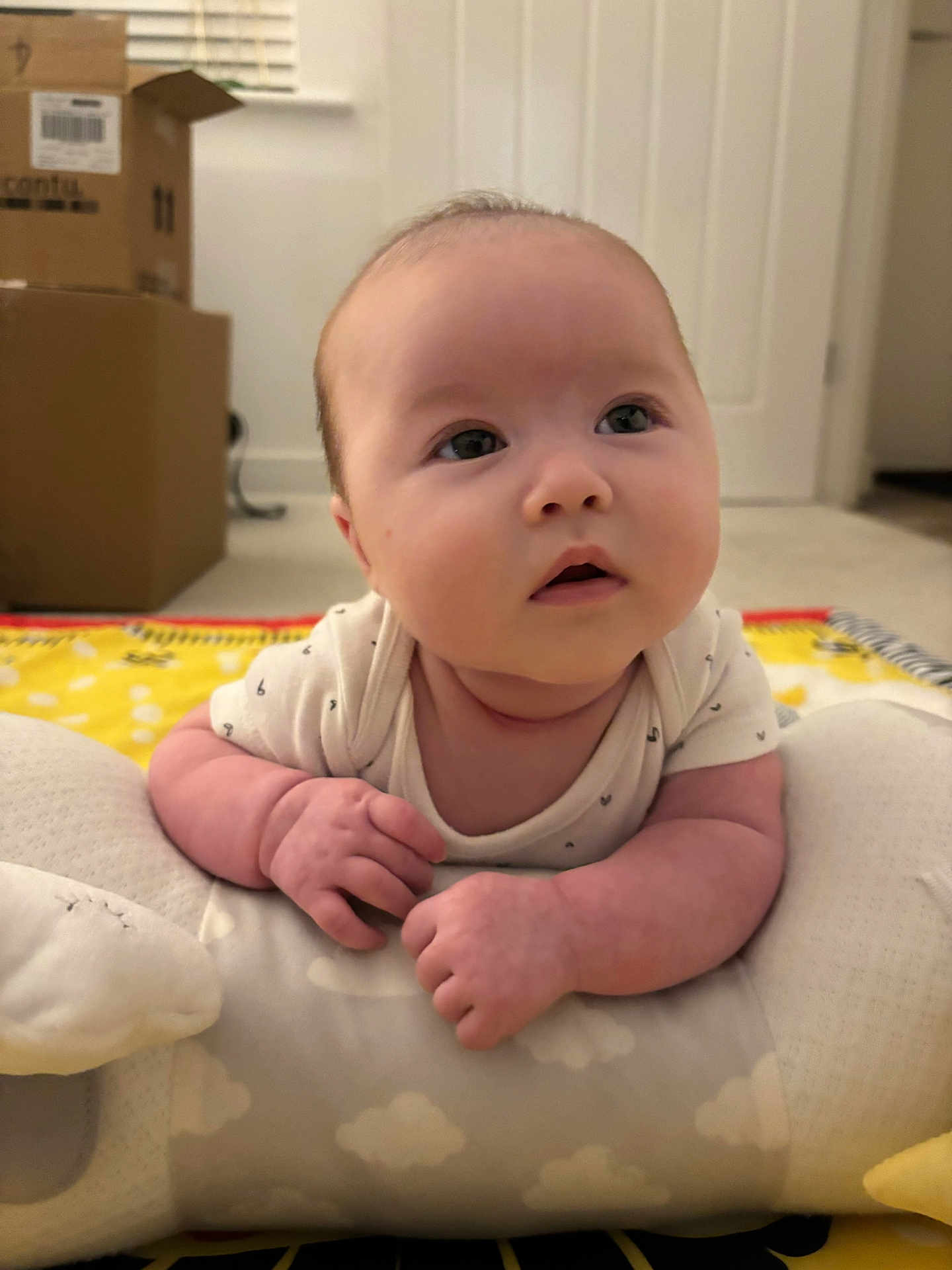 Bella is registered to the contest to win money with this photo: baby, infant, child, cushion, face, indoors, carpet, cardboard_box, curious, expression, hands, play_mat, soft_toy, tummy_time, white_clothing, room, window_blinds, floor, skin, head