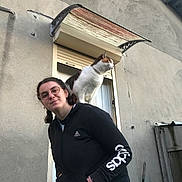 Choupette participe au concours pour gagner de l'argent avec cette photo : adidas, animal, building, casual, cat, curious, daylight, door, feline, glasses, hoodie, outdoor, person, pet, portrait, relaxed, shoulder, smile, wall, window