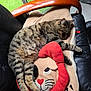 tabby_cat, sleeping_cat, cat, cushion, lion_face_cushion, black_leather_chair, wooden_armrest, indoor, natural_light, relaxed, pet, feline, cozy, nap, striped_fur, soft_texture, home_interior, window_light, resting, animal