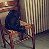 Xena participe au concours pour gagner de l'argent avec cette photo : chair, floor, flooring, furniture, leg, sitting