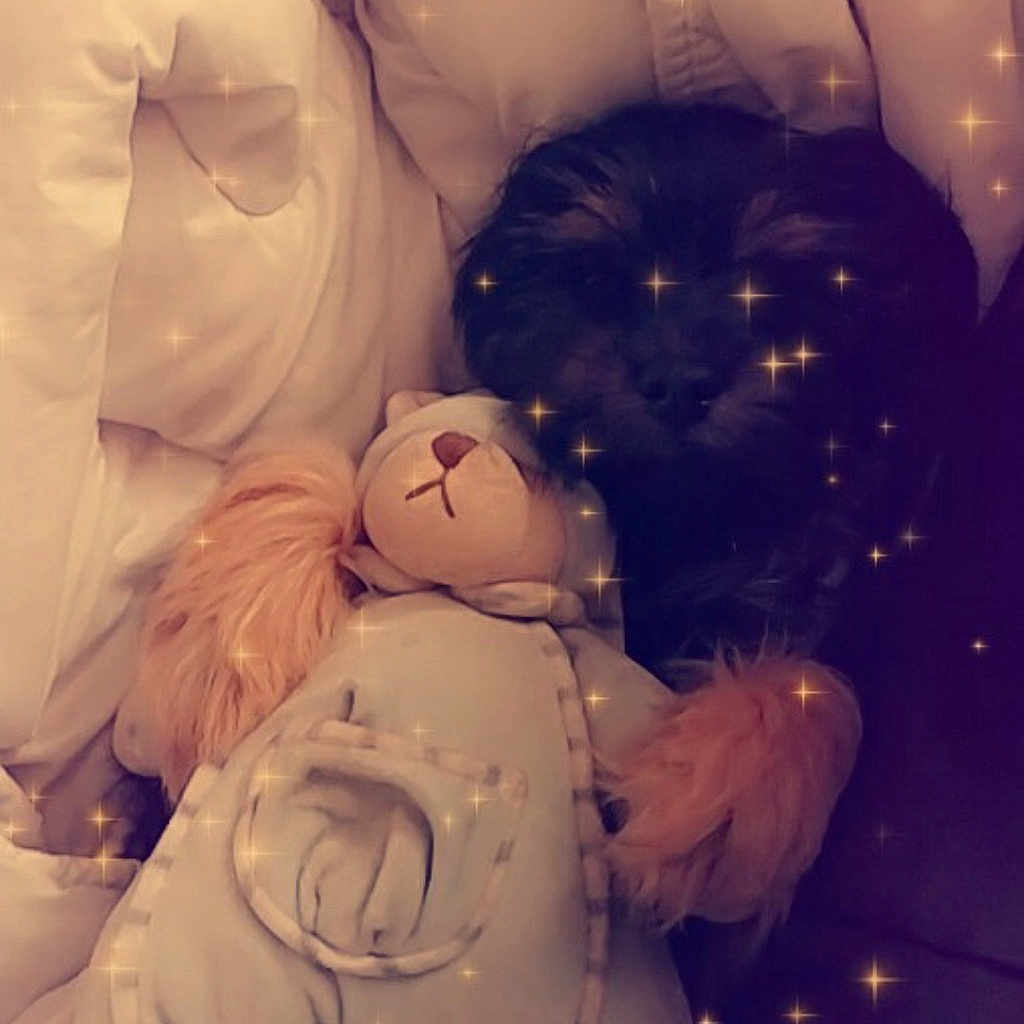 Xena