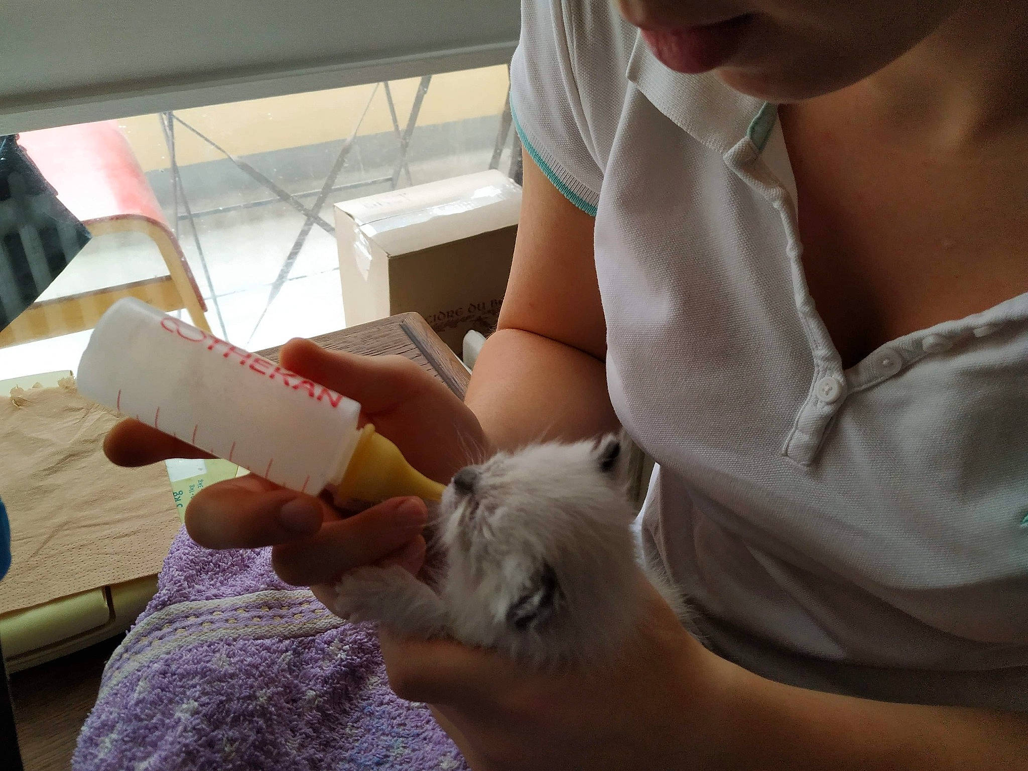 Oreo participe au concours pour gagner de l'argent avec cette photo : hand