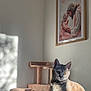 cat, tabby_cat, cat_tree, indoor, sunlight, wall_art, painting, framed_picture, beige, furniture, pet, animal, cute, cozy, home, portrait, light_and_shadow, domestic_cat, feline, quiet