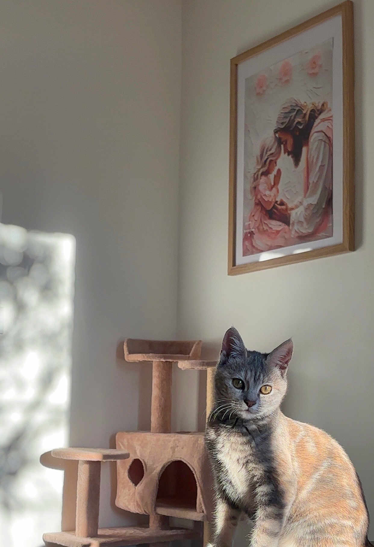 Mimine participe au concours pour gagner de l'argent avec cette photo : cat, tabby_cat, cat_tree, indoor, sunlight, wall_art, painting, framed_picture, beige, furniture, pet, animal, cute, cozy, home, portrait, light_and_shadow, domestic_cat, feline, quiet