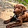 Lennox