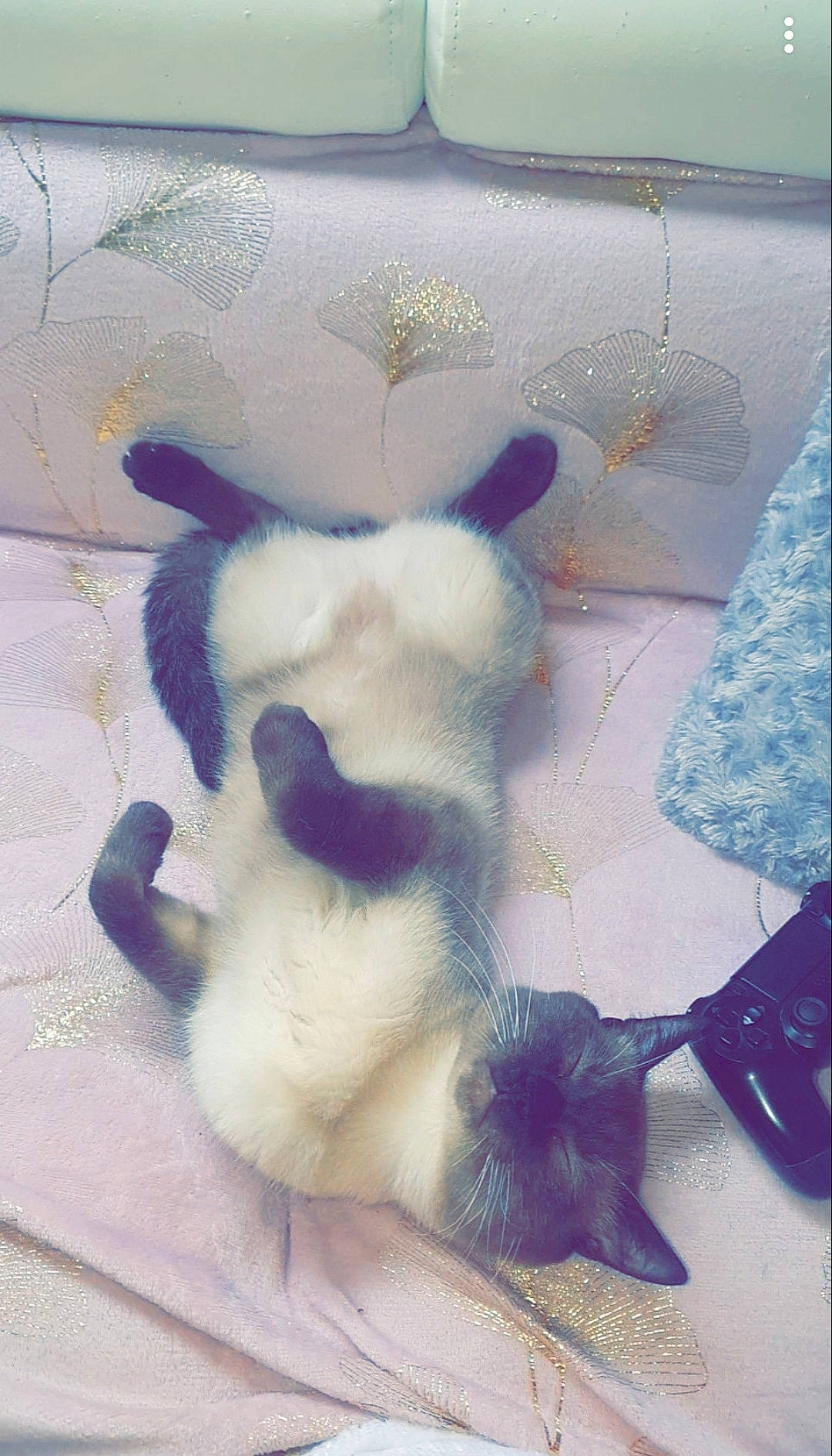 Olaf participe au concours pour gagner de l'argent avec cette photo : art, canidae, companion_dog, dog_breed, fawn, felidae, flooring, foot, fur, paw, plush, small_to_medium_sized_cats, snout, stuffed_toy, tail, terrestrial_animal, toy, whiskers, wool, working_animal