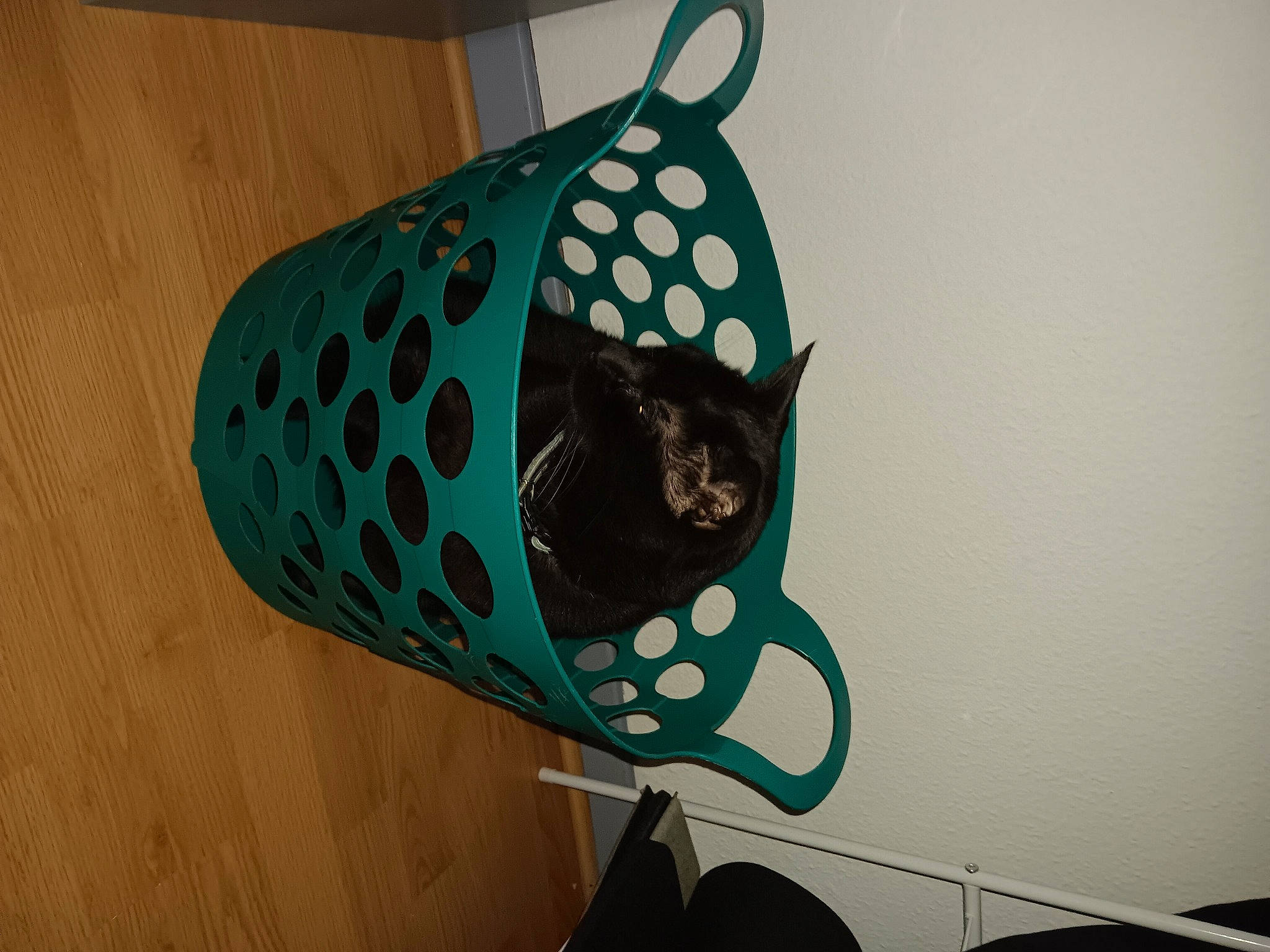 Lunaire a rejoint le concours — aidez-le/la à gagner de superbes lots ! art, automotive_exterior, automotive_tire, bag, circle, electric_blue, fashion_accessory, font, helmet, home_accessories, hood, metal, pattern, personal_protective_equipment, rim, sleeve, tire, triangle, visual_arts, wheel