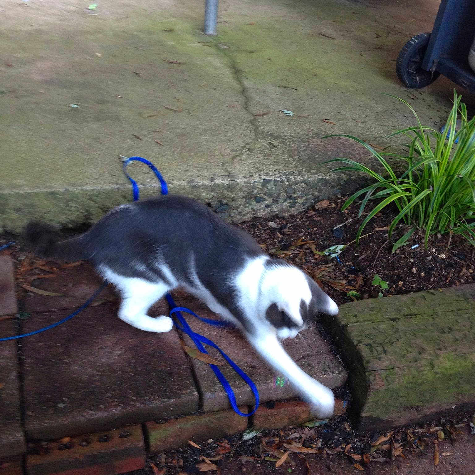 Theodore is registered to the contest to win money with this photo: