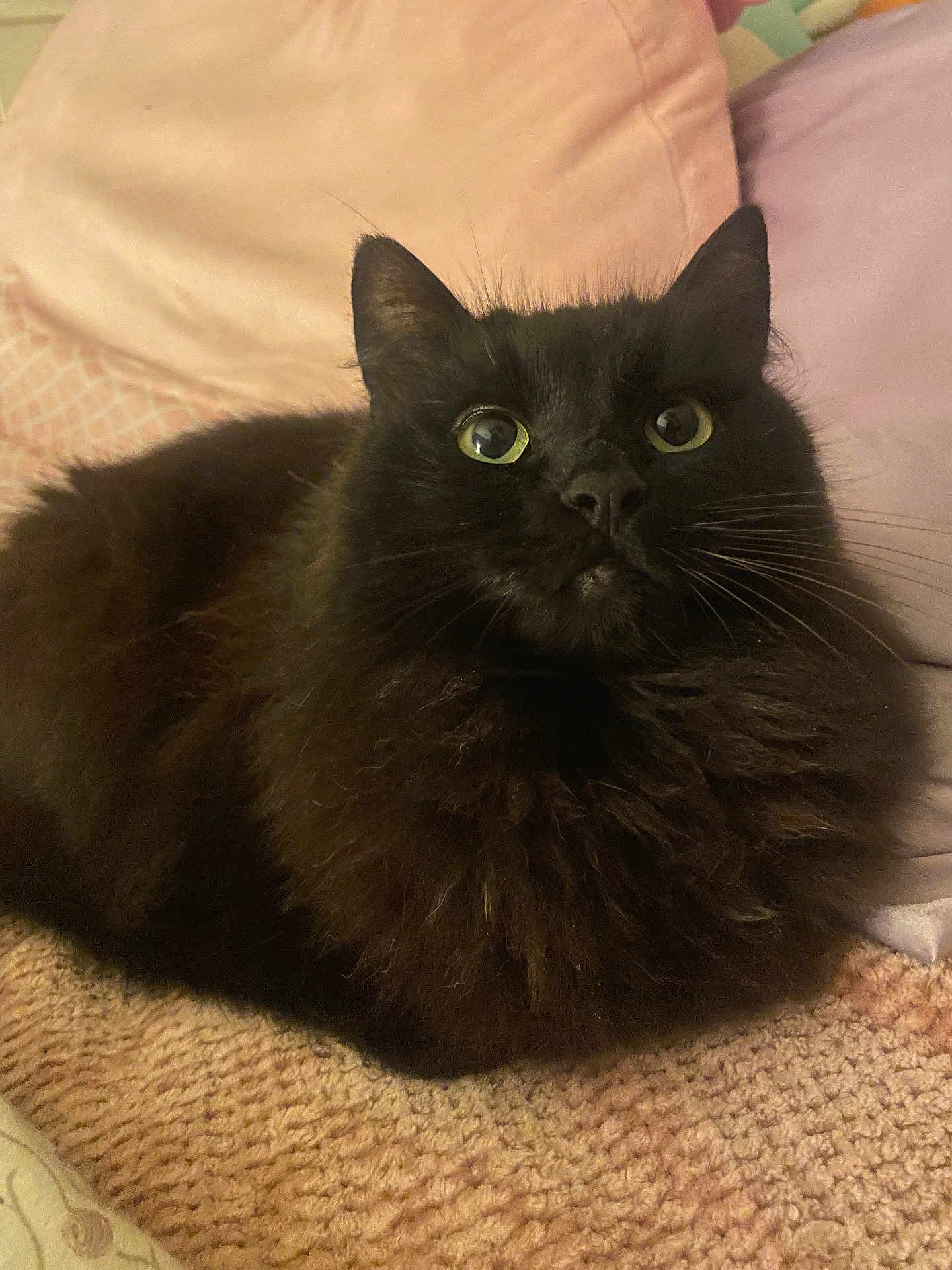 Binx