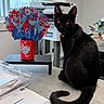 black_cat, cat, desk, valentines_day, decorative_bouquet, office, printer, papers, yellow_eyes, feline, indoor, table, curled_tail, black_fur, window, natural_light, stationery, flower_bouquet, cute, pet