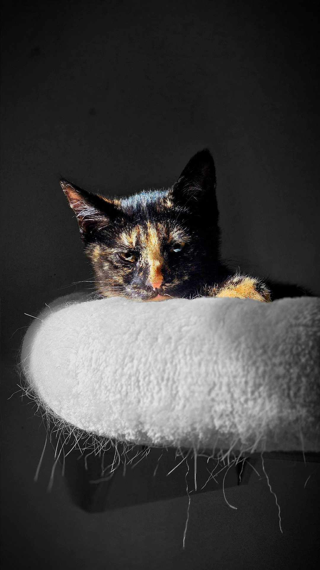 Nyx