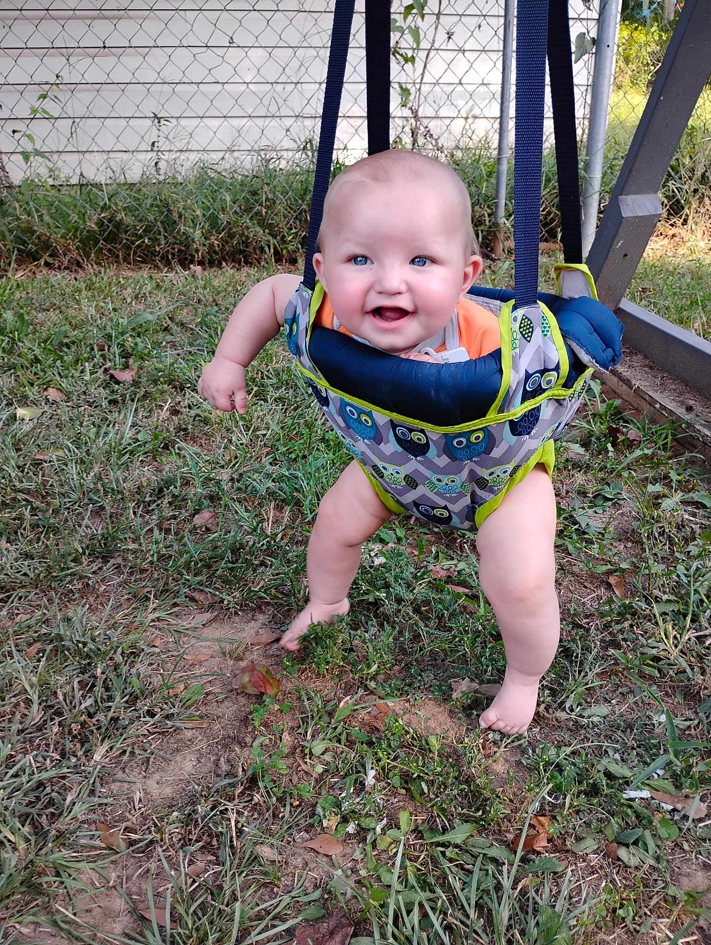 David joined the competition — help win amazing prizes! baby, child, swing, smiling, outdoor, grass, backyard, fence, play, happy, blue_eyes, infant, sunlight, nature, barefoot, cute, person, sitting, fabric, support_straps