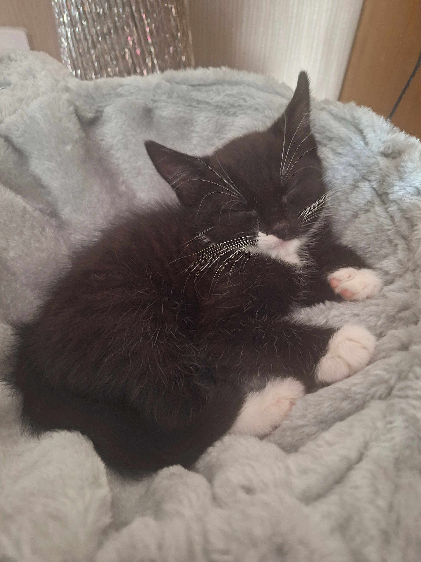 Elsie
