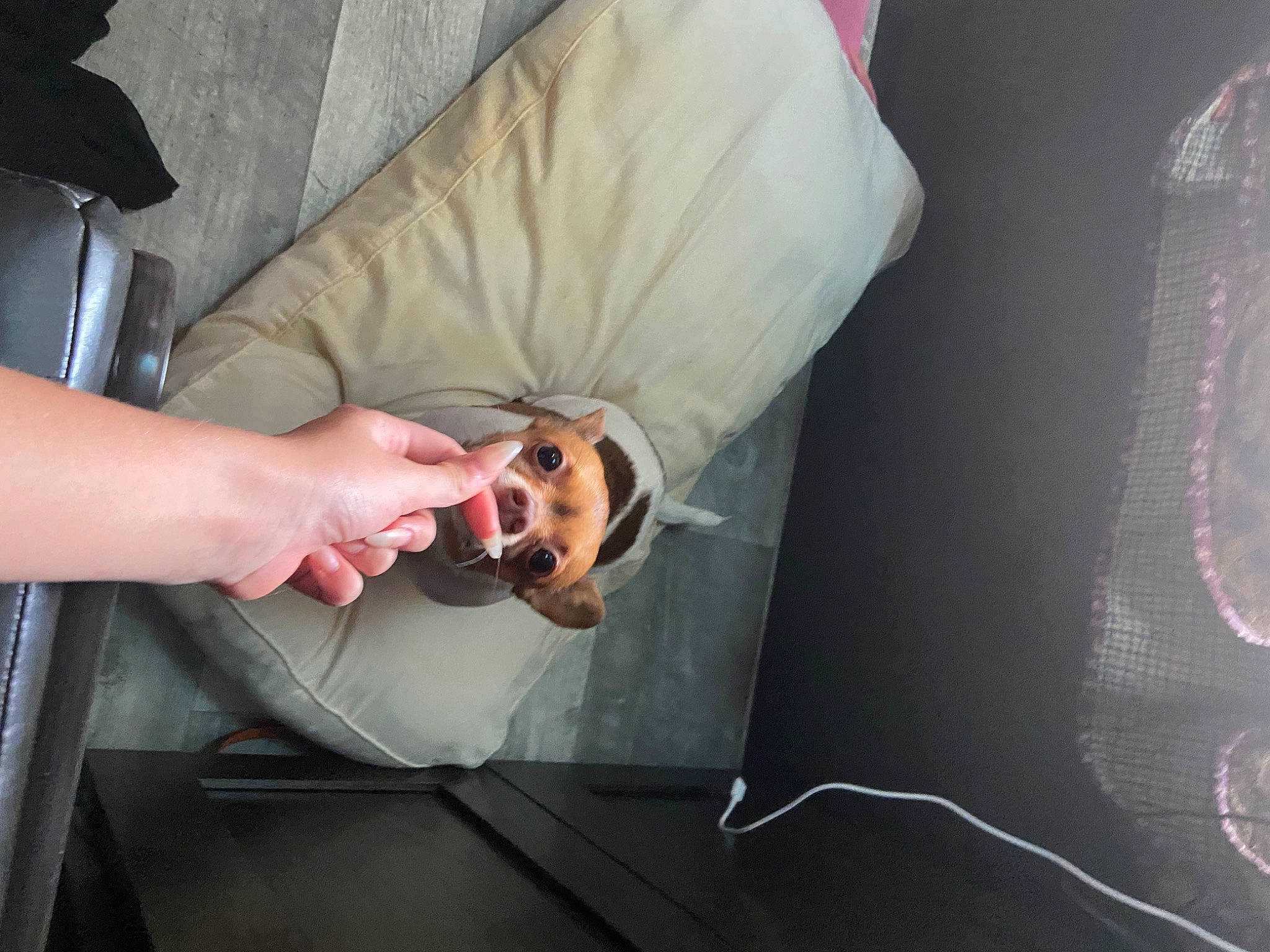 Flutter joined the competition — help win amazing prizes! auto_part, automotive_design, automotive_exterior, automotive_lighting, bag, bumper, comfort, elbow, eyewear, foot, hand, hood, human_leg, nail, personal_protective_equipment, service, sleeve, sunglasses, vehicle_door, wrist