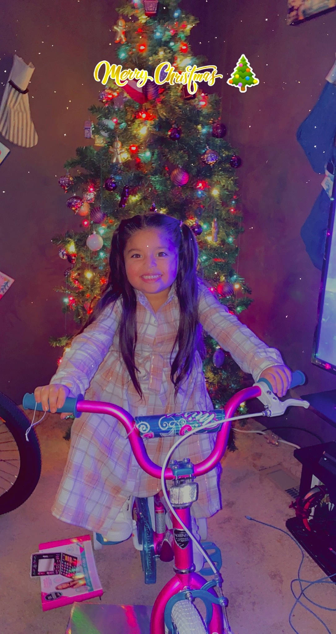 Janayle is registered to the contest to win money with this photo: bicycle, bicycle_accessory, bicycle_frame, bicycle_tire, bicycle_wheel, christmas_decoration, christmas_ornament, christmas_tree, entertainment, fun, happy, joy, leisure, light, magenta, ornament, person, pink, purple, tire