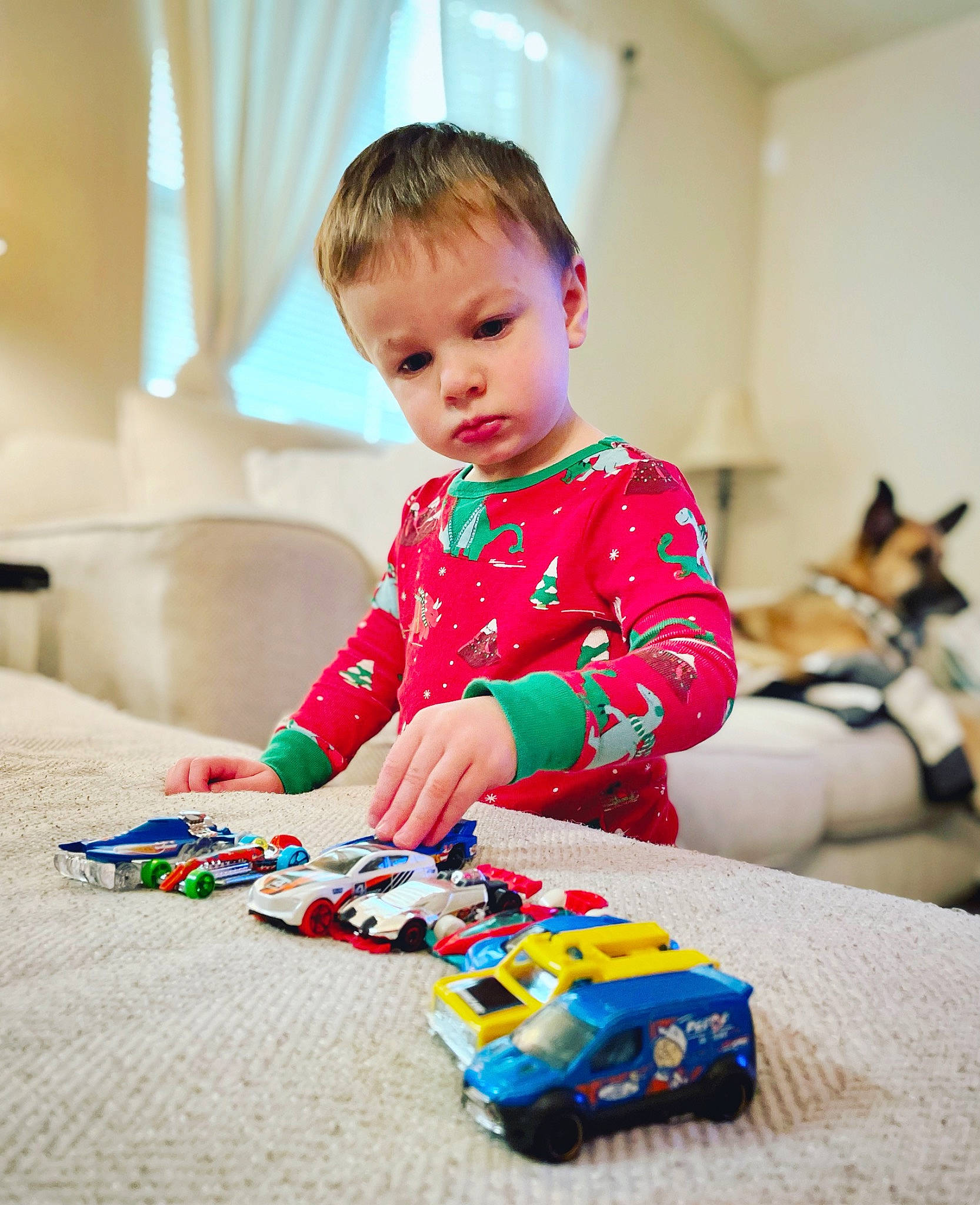 Maverick joined the competition — help win amazing prizes! baby_playing_with_toys, baby_toddler_clothing, baby_toys, child, dog, dress, event, flooring, happy, holiday, pattern, person, play, sitting, sleeve, t_shirt, toddler, toy, toy_vehicle, vehicle