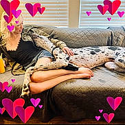 Huckleberry Hound is registered to the contest to win money with this photo: woman, dog, couch, indoor, relaxing, love, hearts, affection, blonde_hair, casual_clothing, blanket, spotted_dog, legs, barefoot, window_blinds, pet, comfort, laying_down, human, bond