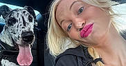 Huckleberry Hound is registered to the contest to win money with this photo: animal, black_clothing, blonde_hair, car_interior, casual, dog, friendship, fun, great_dane, happy, indoor, person, pet, portrait, seat, smile, sunroof, tongue, tongue_out, window