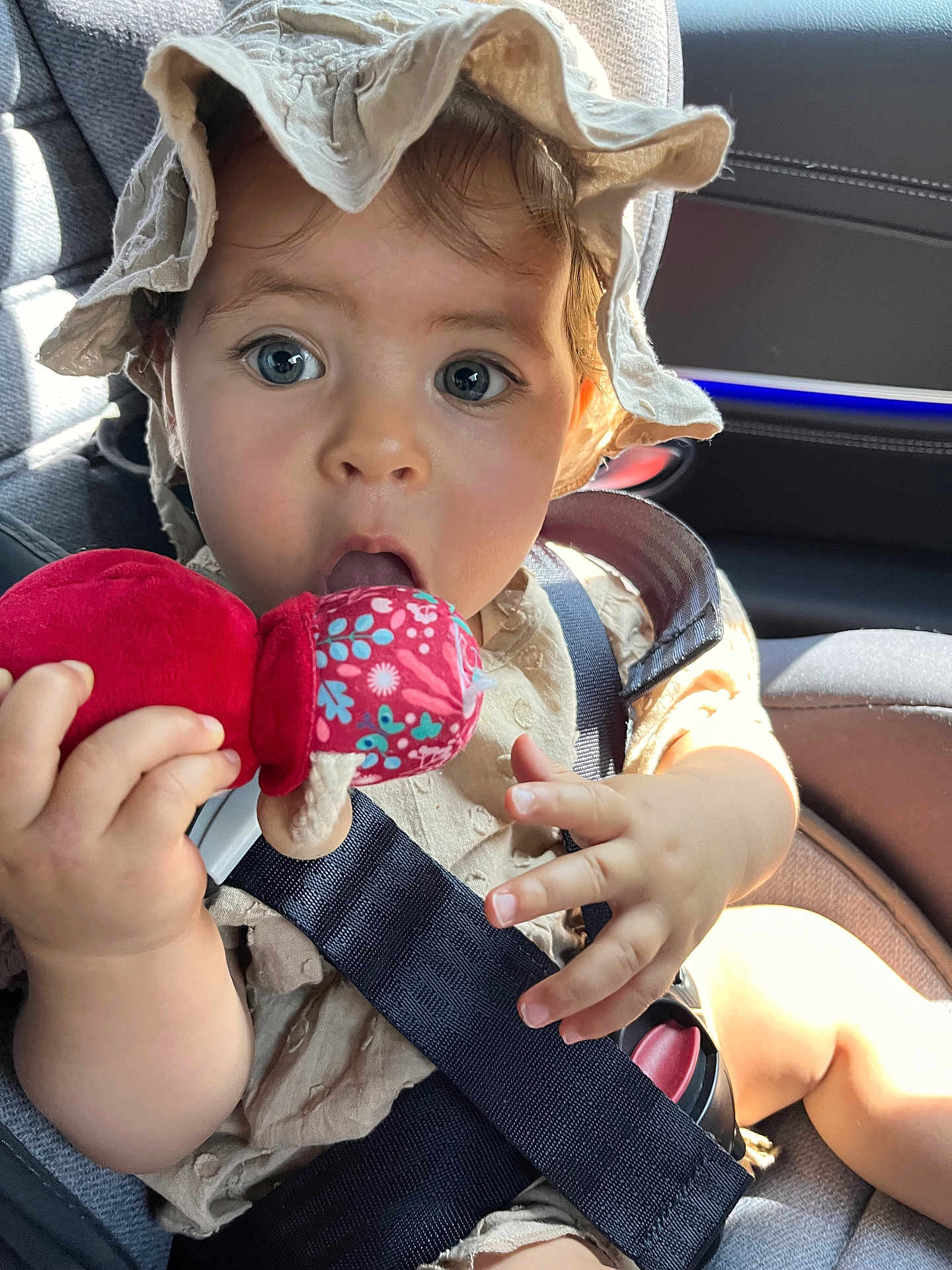 Alita a rejoint le concours — aidez-le/la à gagner de superbes lots ! baby, child, car_seat, seatbelt, hat, plush_toy, chewing, sunlight, closeup, face, hand, clothing, infant, cute, indoors, person, headwear, sitting, expression, bright_eyes