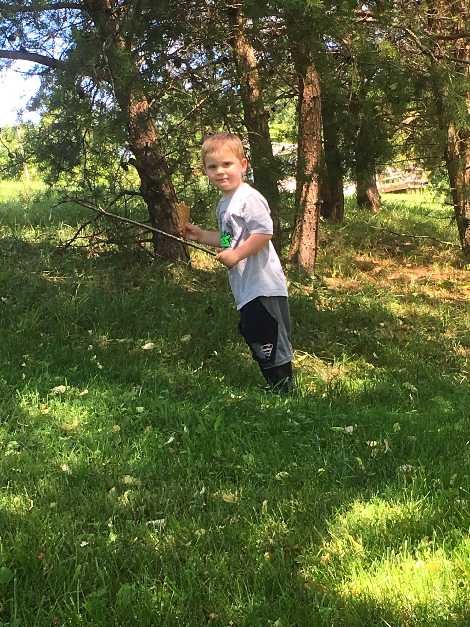Jacob is registered to the contest to win money with this photo: grass, lawn, meadow, person, plant, tree