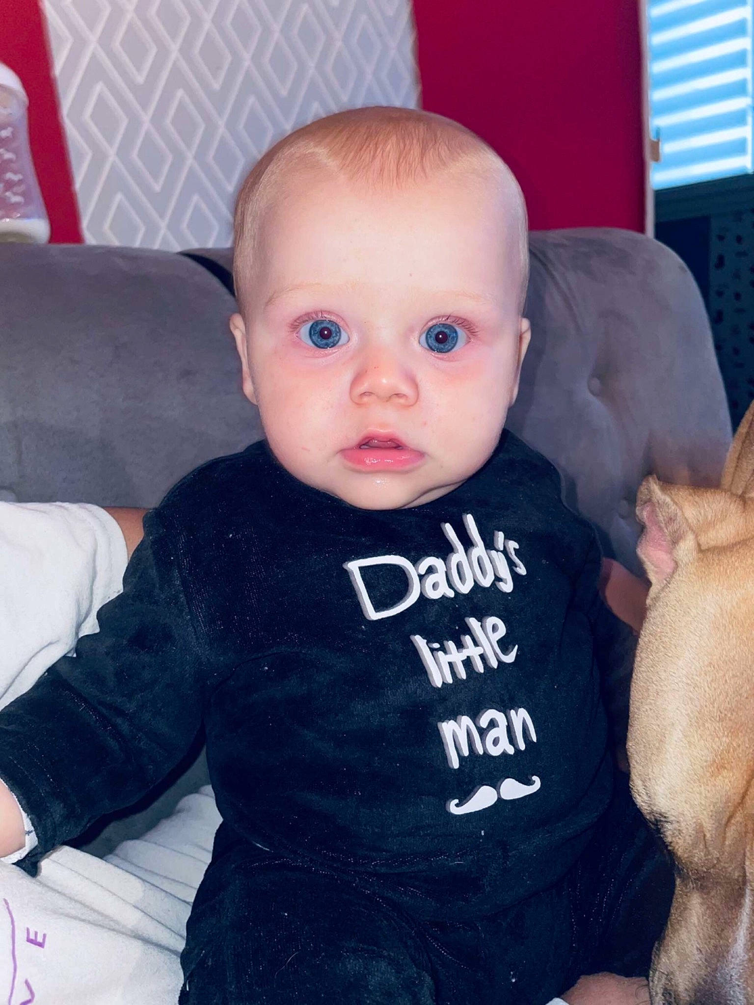 Sayan a rejoint le concours — aidez-le/la à gagner de superbes lots ! arm, baby, baby_toddler_clothing, cheek, child, comfort, couch, eyelash, finger, fur, gesture, head, iris, mammal, person, product, skin, sleeve, surprise, t_shirt