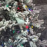 kitten, cat, christmas_tree, holiday, ornaments, string_lights, pine_cones, frosted_branches, white_and_gray, pet, animal, portrait, wide_eyed, cute, collar, bell, heart_tag, indoors, festive, photography
