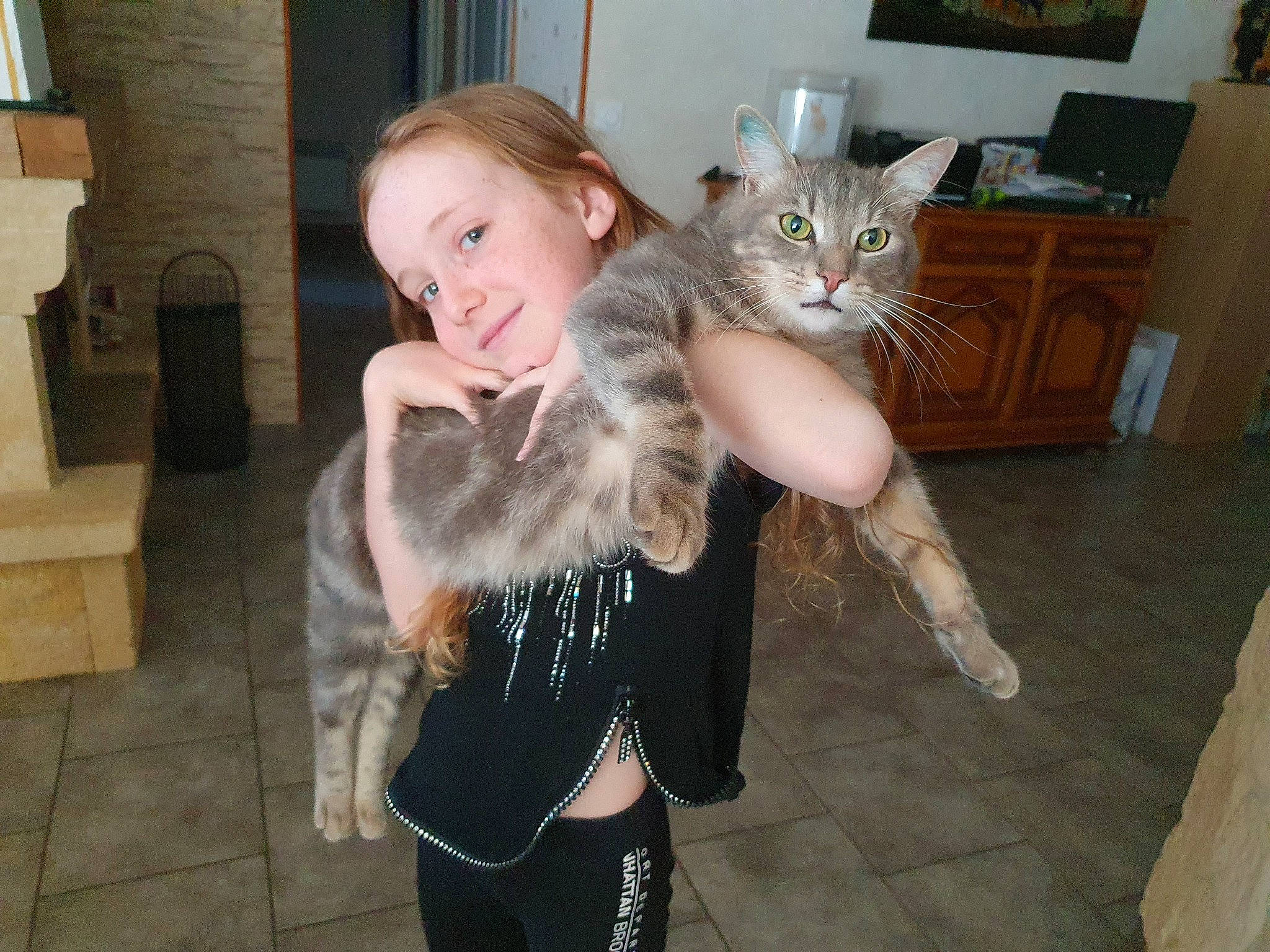 Grisouille participe au concours pour gagner de l'argent avec cette photo : american_curl, asian, carnivore, cat, domestic_long_haired_cat, domestic_short_haired_cat, european_shorthair, fawn, felidae, fur, iris, maine_coon, norwegian_forest_cat, polydactyl_cat, small_to_medium_sized_cats, tail, whiskers