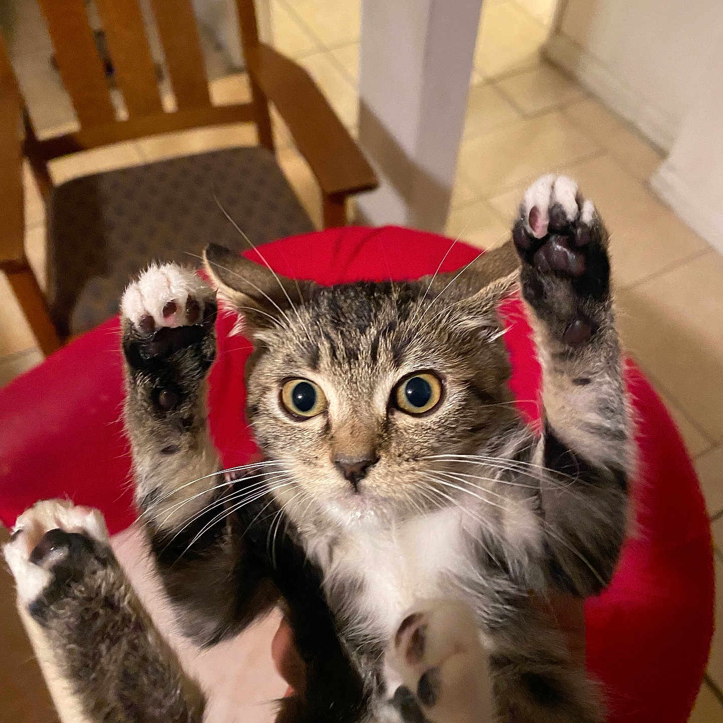 Leía Eri Velásquez