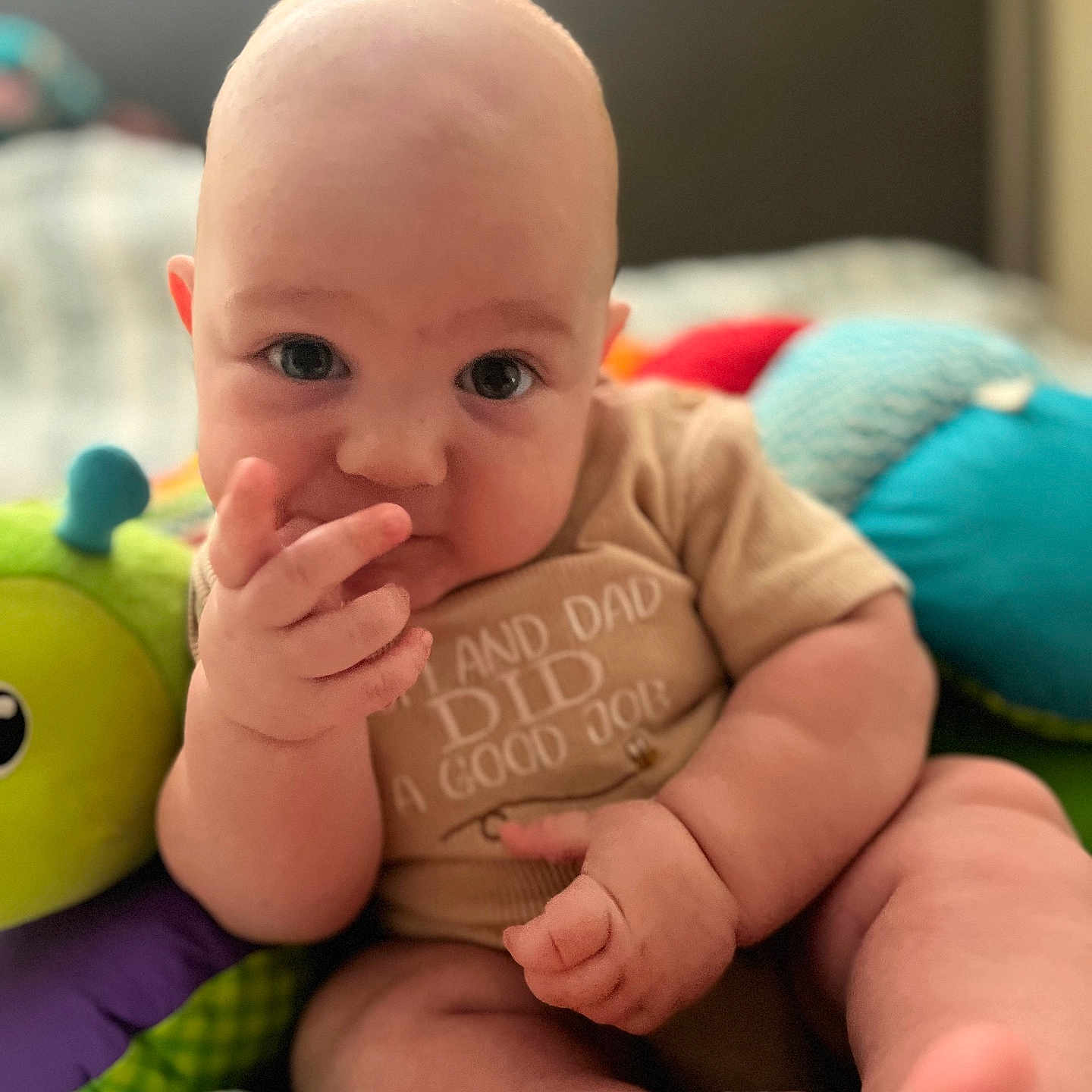 Jace is registered to the contest to win money with this photo: baby, child, closeup, clothing, colorful, comfort, curious, cute, expression, face, fingers, hand, indoor, infant, play, portrait, sitting, skin, soft_toy, toy