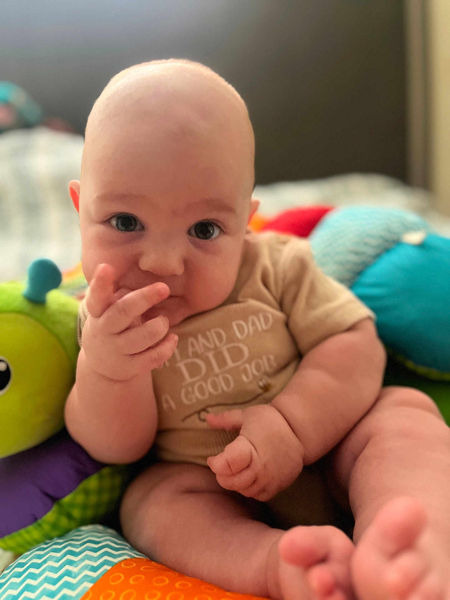 Jace is registered to the contest to win money with this photo: baby, child, infant, toy, colorful, soft_toy, sitting, curious, hand, fingers, face, portrait, indoor, cute, clothing, expression, skin, comfort, closeup, play